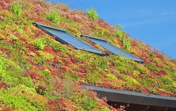 Shenley Brook End living roof systems
